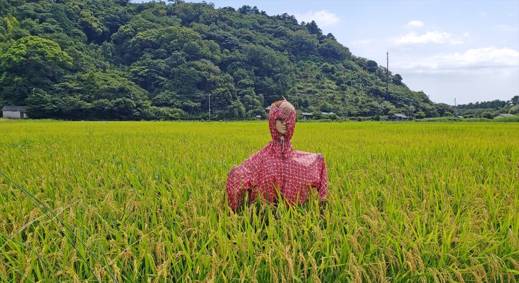 案山子