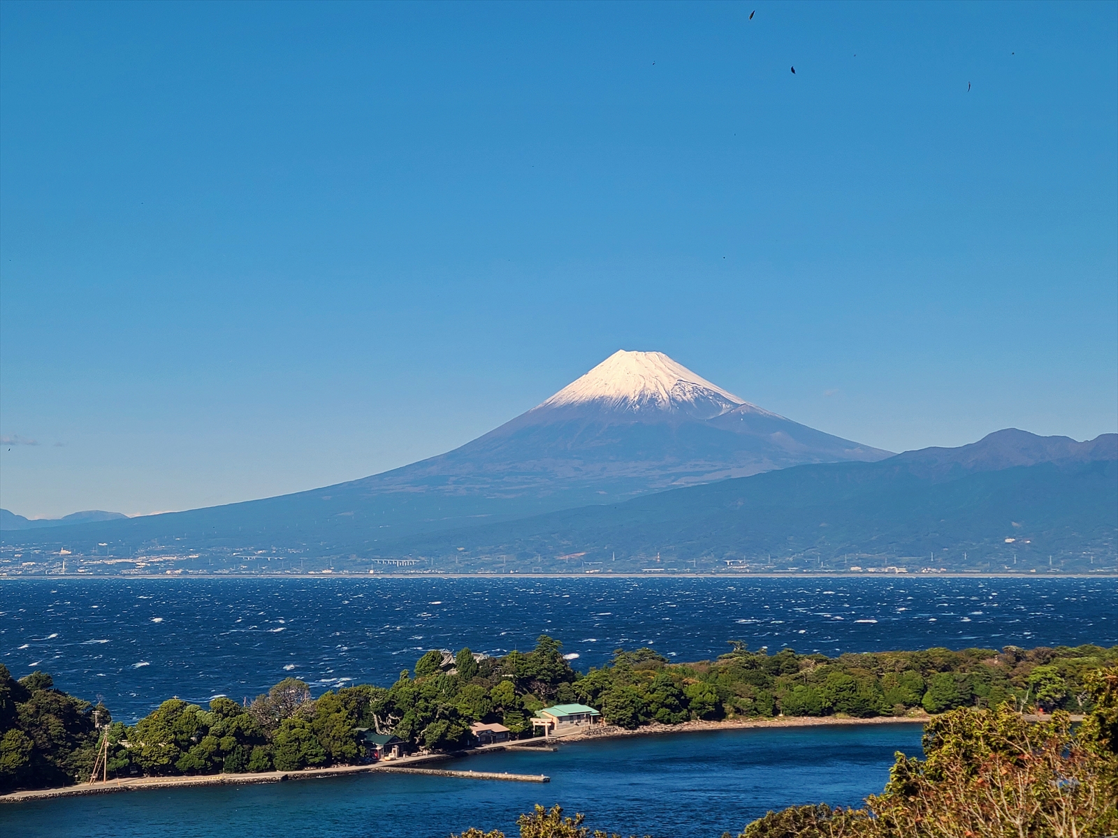 富士山_20241129