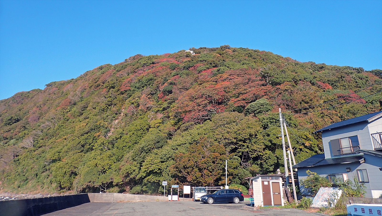 井田紅葉