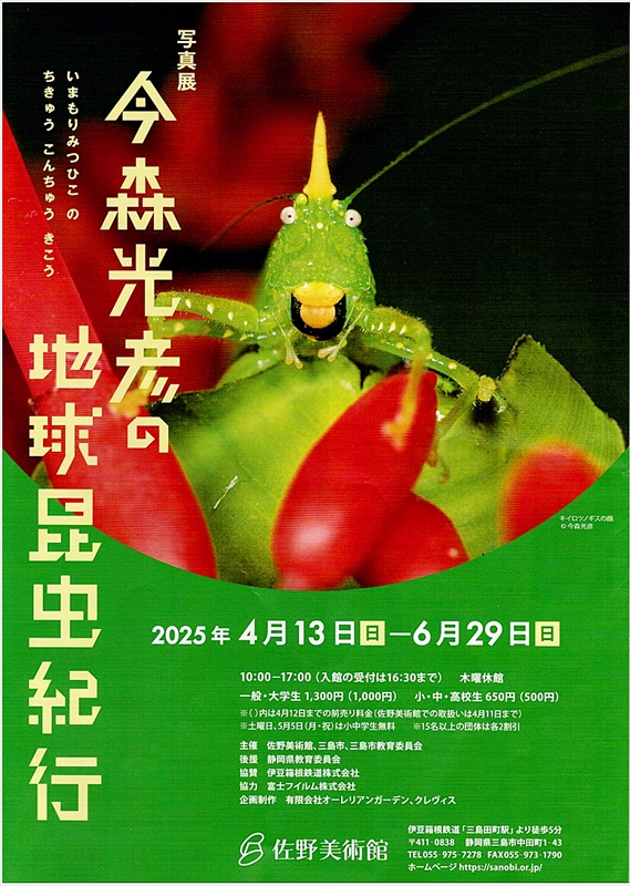 今森光彦/地球昆虫紀行