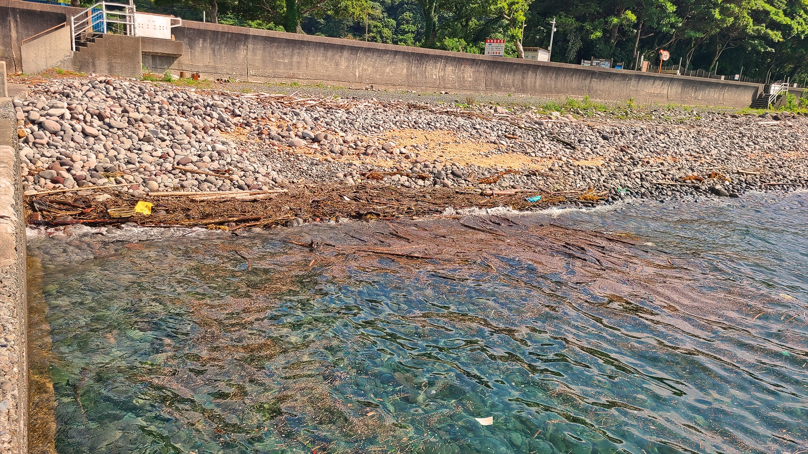 河川漂着ごみ