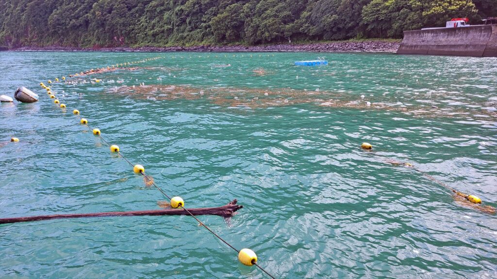 沿岸を襲う漂流ゴミ