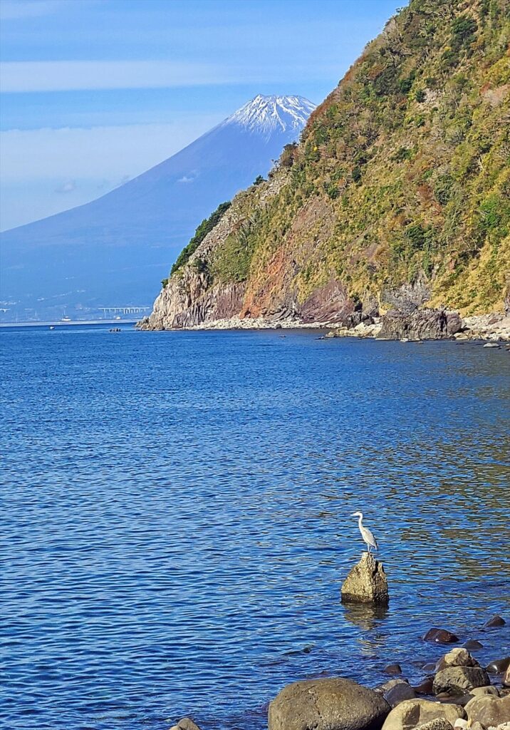 秋晴れと富士山