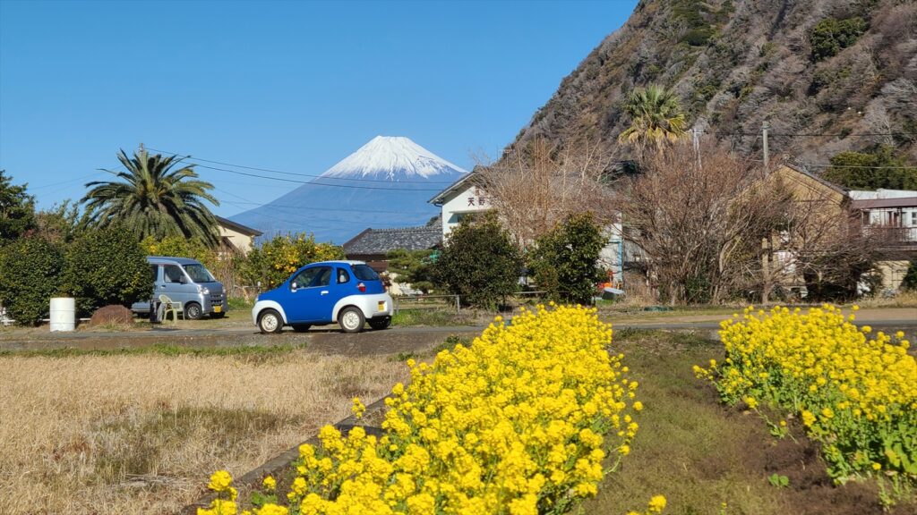 菜の花、富士山、Twin